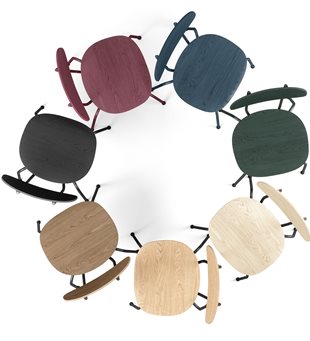 Scala Chair all oak colors circle
