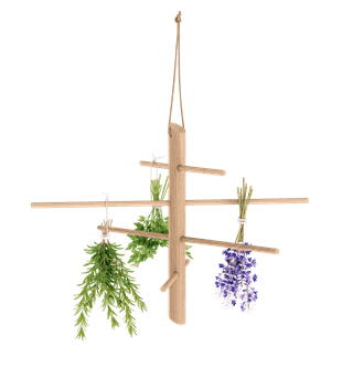 Hanging Sticks (Nature)
